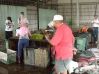 DSC00087~4.JPG