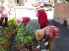 DSC00088~4.JPG