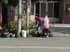 DSC00149~1.JPG