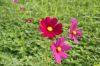 DSC00219~0.JPG