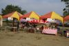DSC00237~0.JPG
