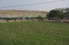 DSC00244~1.JPG