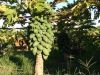 DSC00349~0.JPG