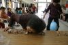 DSC00509.JPG