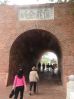 DSC00727.JPG
