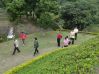 DSC00730.JPG