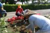 DSC00804.JPG