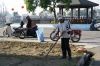 DSC00891.JPG
