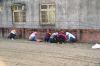 DSC00893.JPG