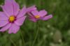 DSC01050.JPG