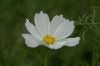 DSC01055.JPG