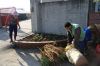 DSC01307.JPG