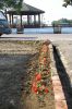 DSC01360~1.JPG