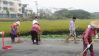 DSC01682.JPG