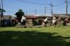 DSC02087.JPG