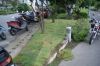 DSC02187.JPG
