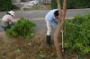 DSC02493.JPG