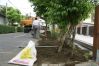 DSC02538~0.JPG