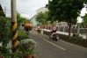 DSC02541.JPG