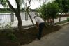 DSC02543~0.JPG