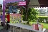 DSC02622~0.JPG