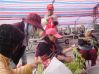 DSC02913.JPG