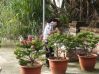 DSC03114~0.JPG